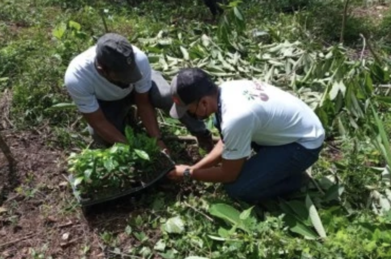 Screenshot-2023-09-30-at-12.25.08-AM