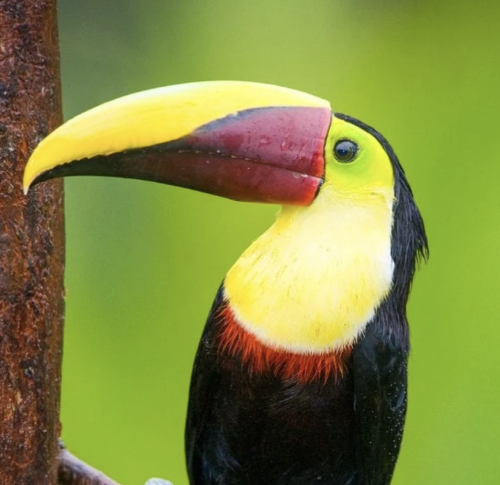 Screenshot-2023-10-06-at-7.38.46-PM