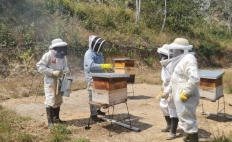 Beekeeping