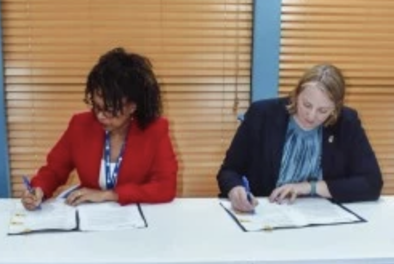 rainwater collection