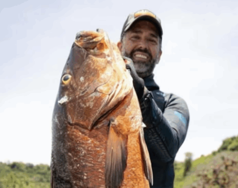 donald trump jr trip to chiriqui