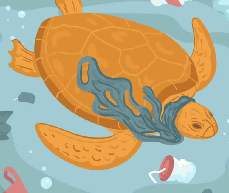 panama plastic pollution roadmap