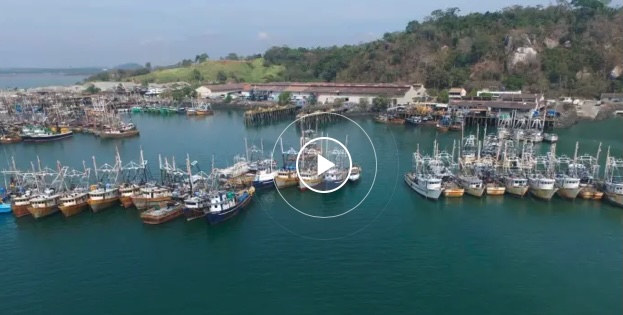 Panama government prepares traceability plan to earn EU green card for fisheries — Panama fisheries green card