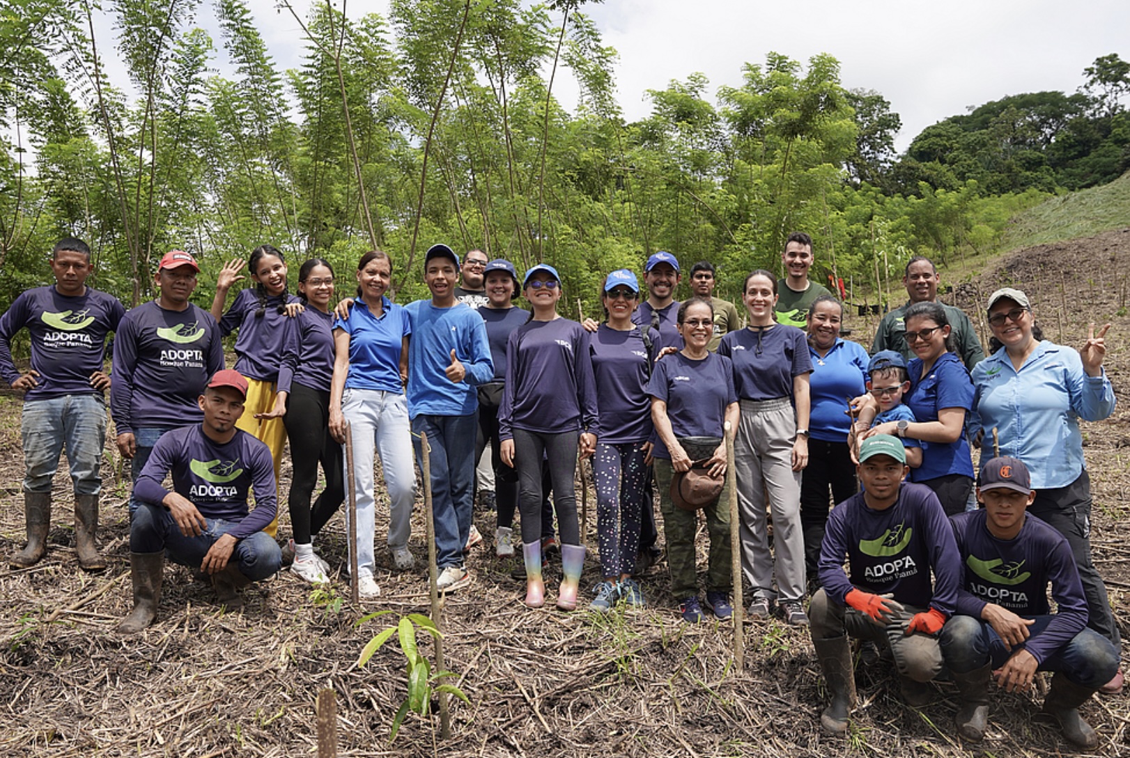 Volunteers planting native trees during BCIE reforestation Panama initiative in Camino de Cruces National Park