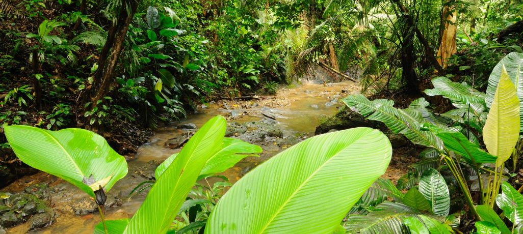 Senafront officers conducting border security patrols in the Darien Gap.
