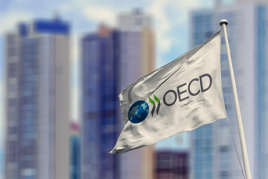 Financial experts discussing Panama OECD accession and future fiscal transparency standards.