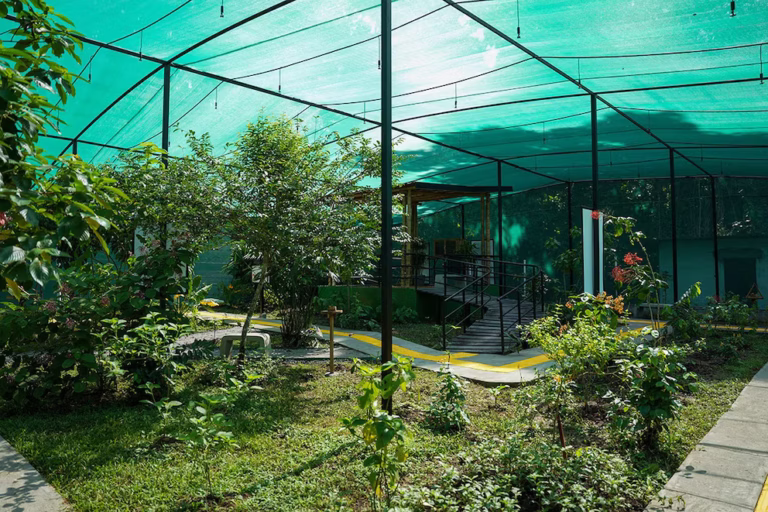 The vibrant landscape of the new Tropical Forest Refuge, a crucial urban nature reserve protecting biodiversity in Panama.