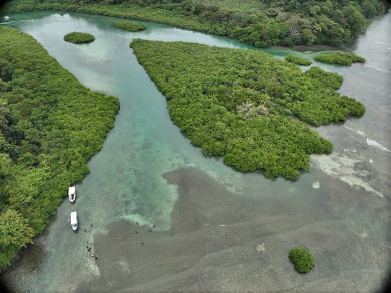 The Ramsar Convention Panama event highlighting global wetlands conservation and environmental tourism.