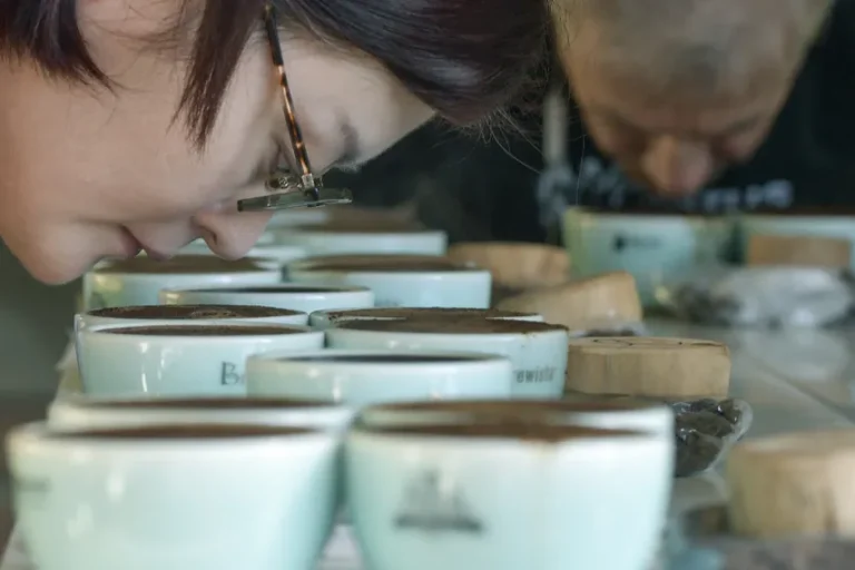 World of Coffee Panama 2026 international expo event showcasing specialty coffee beans