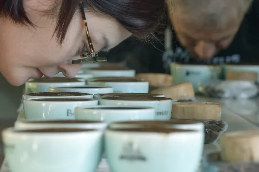 World of Coffee Panama 2026 international expo event showcasing specialty coffee beans