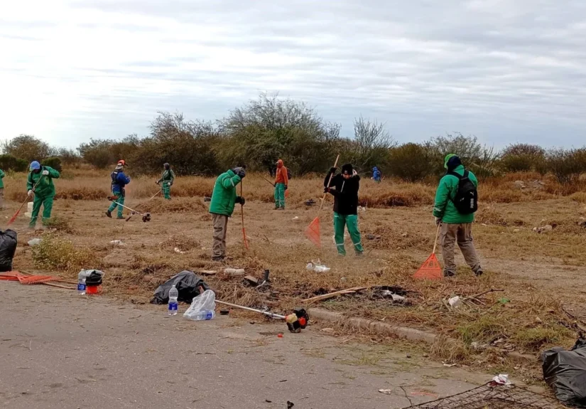 Community members executing the Panama mangrove restoration strategy in coastal wetlands.