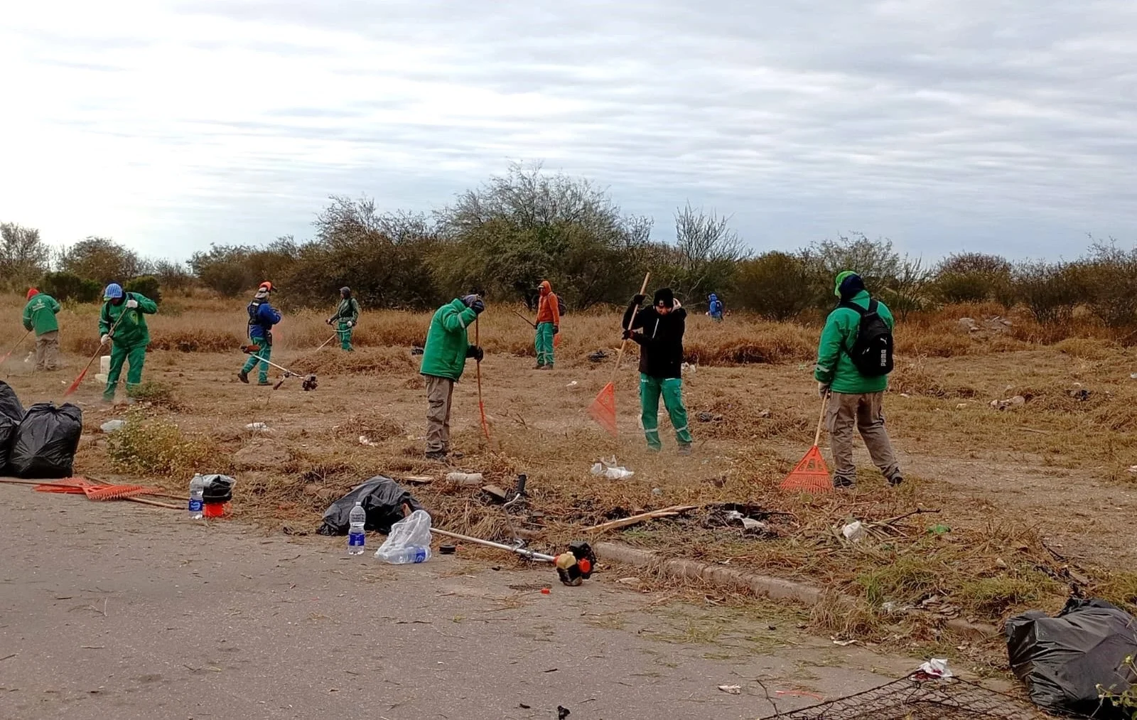 Community members executing the Panama mangrove restoration strategy in coastal wetlands.